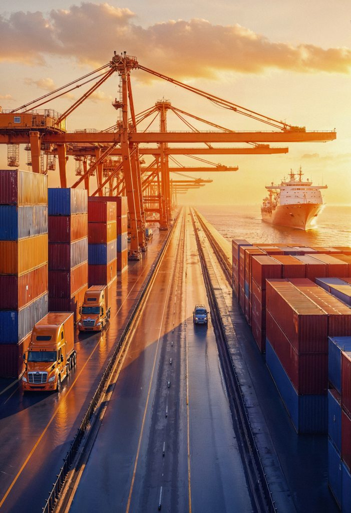 Trusted Global Exporter from India